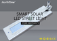 30 Watt All In One Solar Powerd Wireless Security Street Light with Lithium Battery supplier