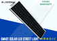 High Efficiency Solar Panel IP65 Outdoor Solar Street Lights 40watt Bridgelux Chip supplier