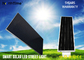Intelligent 12v 25w Integrated All In One LED Solar Garden Light For Project 120° Wide Lighting Angle supplier