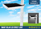12Watt Motion Sensor Solar Powered LED Street Lights With Lithium Battery 110lm / W supplier
