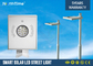 High Bright 4M 12 Watt LED Solar Powered Street Lamp With US Bridgelux 45mil supplier