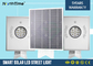 High Efficiency 12w Solar Powered LED Street Lights All In One Turn On / Off Automatically supplier