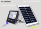 Energy Saving 100 W Solar LED Garden Lights / Ip65 Outdoor Solar Flood Lamp With Remote Control supplier
