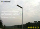 Bridgelux 50pcs Led Street Light With Solar Panel 50 Watt 5200LM Environmental Protection supplier