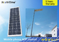 80W High Efficiency All In One Solar Street Light With Pir Motion Sensor Solar Powered supplier