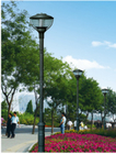 120w High Lumen 150lm/W Led light led Courtyard Light For Districts And Parks Garden