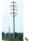 Antenna Communication Pole Towers Waterproof  Ip65 6500k Iron