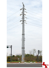 Networking Monopole Communication Towers Pole LDTXT-24308