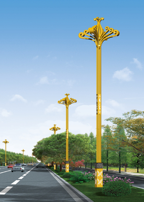 Roadway LED Pole Street Lights 90w 100w 6m 8m 10m 12m height